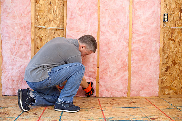Best Eco-Friendly Insulation in Parker, CO